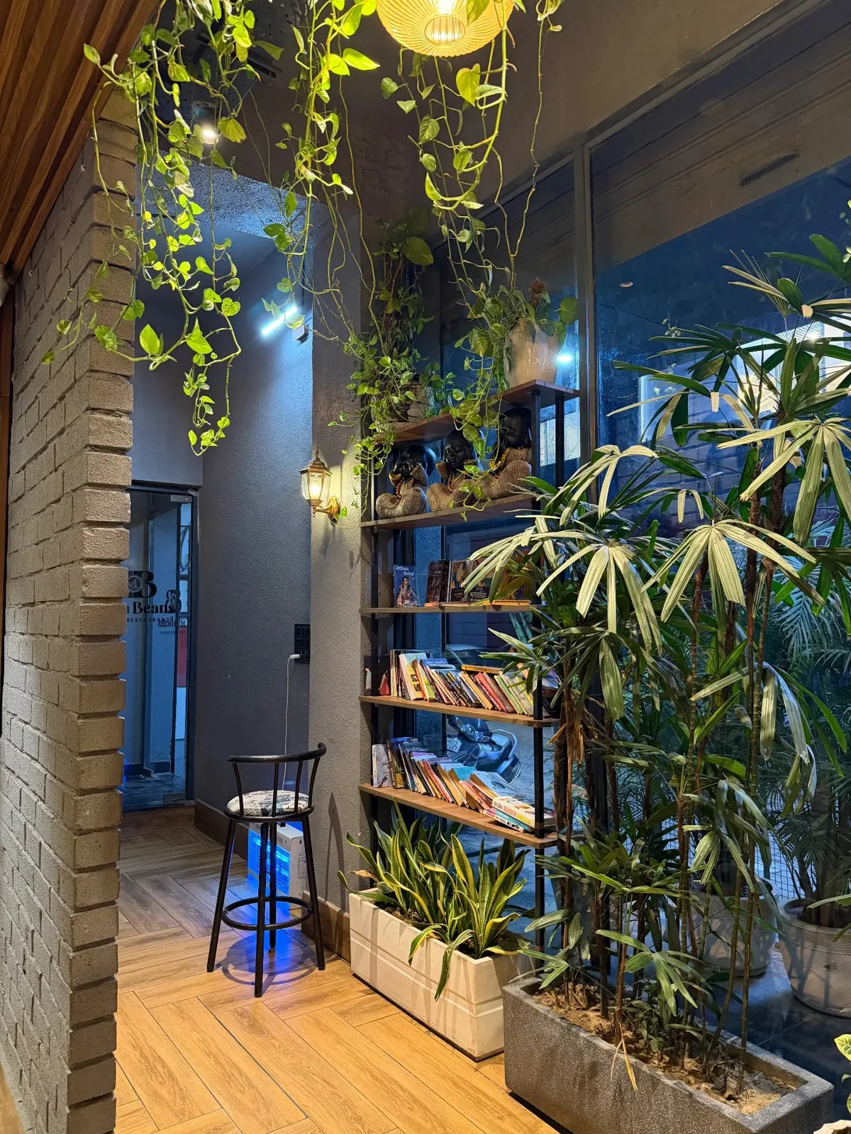 Plant-filled corner with bookshelves and pendant lighting